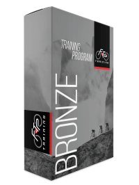 Bronze web 1